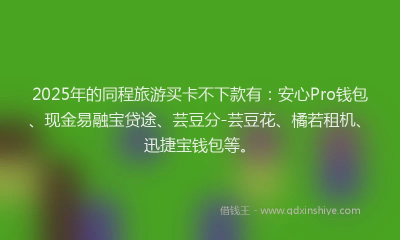 2025年的同程旅游买卡不下款有：安心Pro钱包、现金易融宝贷途、芸豆分-芸豆花、橘若租机、迅捷宝钱包等。