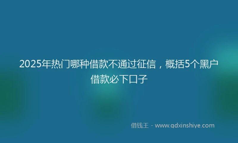 2025年热门哪种借款不通过征信，概括5个黑户借款必下口子