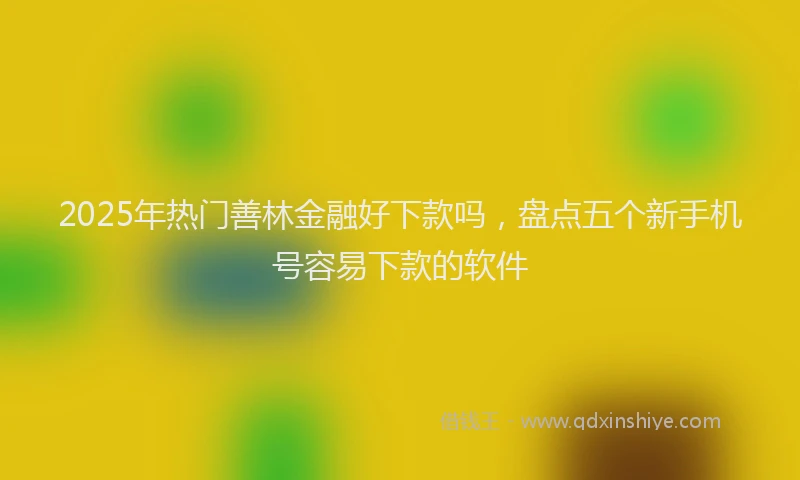 2025年热门善林金融好下款吗，盘点五个新手机号容易下款的软件