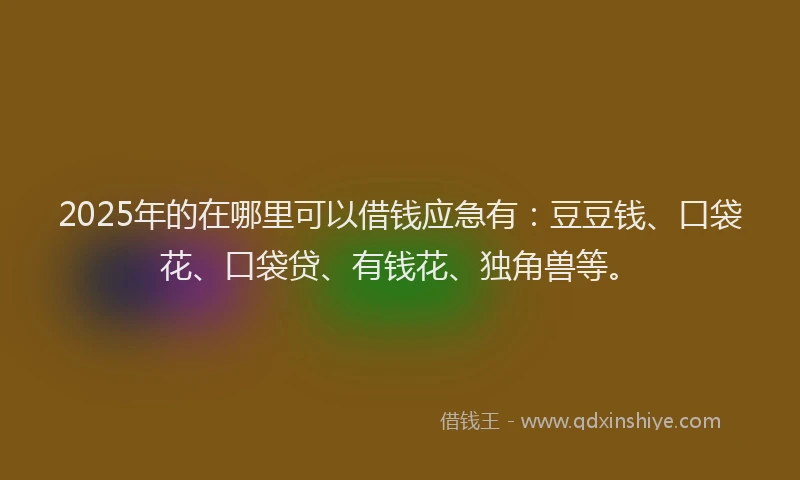 2025年的在哪里可以借钱应急有：豆豆钱、口袋花、口袋贷、有钱花、独角兽等。