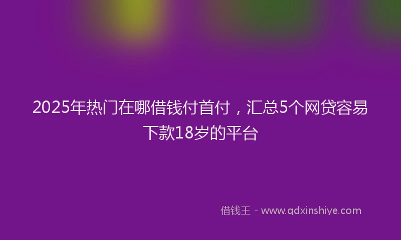 2025年热门在哪借钱付首付，汇总5个网贷容易下款18岁的平台