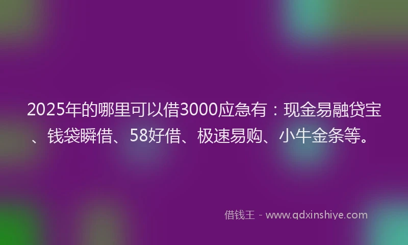2025年的哪里可以借3000应急有：现金易融贷宝、钱袋瞬借、58好借、极速易购、小牛金条等。
