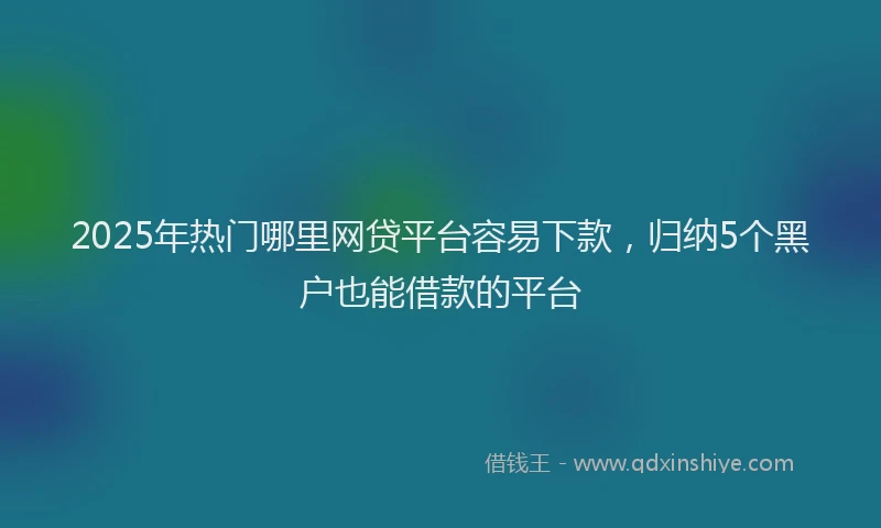 2025年热门哪里网贷平台容易下款，归纳5个黑户也能借款的平台