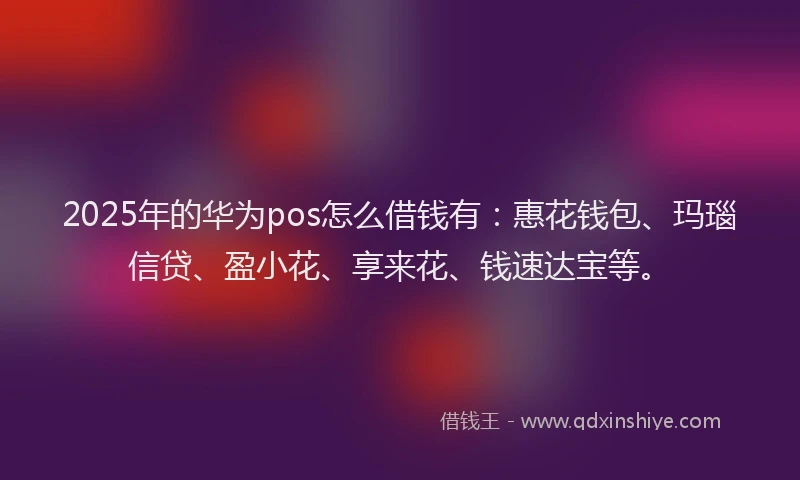 2025年的华为pos怎么借钱有：惠花钱包、玛瑙信贷、盈小花、享来花、钱速达宝等。