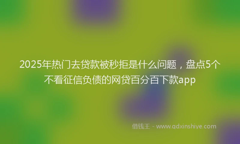 2025年热门去贷款被秒拒是什么问题，盘点5个不看征信负债的网贷百分百下款app