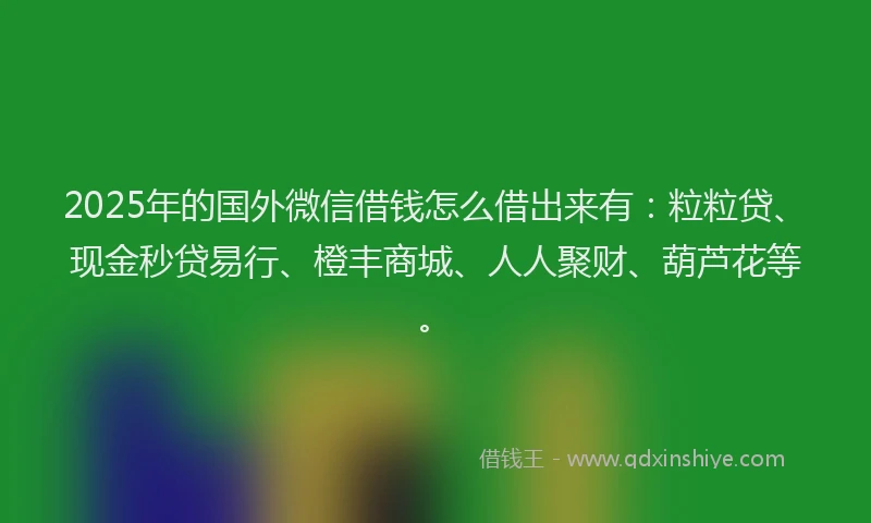 2025年的国外微信借钱怎么借出来有：粒粒贷、现金秒贷易行、橙丰商城、人人聚财、葫芦花等。