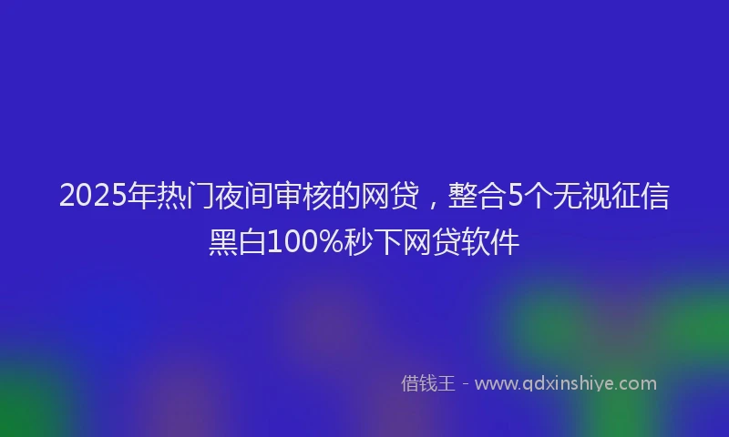 2025年热门夜间审核的网贷，整合5个无视征信黑白100%秒下网贷软件