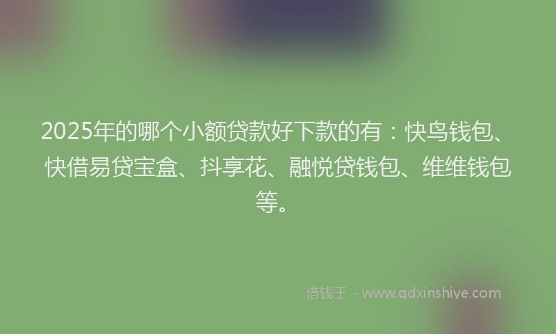 2025年的哪个小额贷款好下款的有：快鸟钱包、快借易贷宝盒、抖享花、融悦贷钱包、维维钱包等。