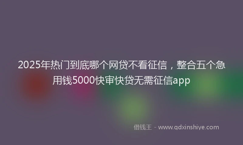 2025年热门到底哪个网贷不看征信，整合五个急用钱5000快审快贷无需征信app