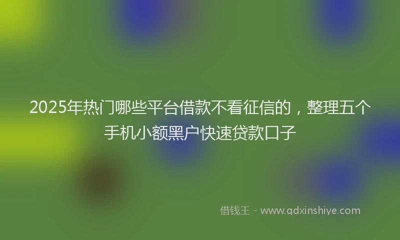 2025年热门哪些平台借款不看征信的，整理五个手机小额黑户快速贷款口子