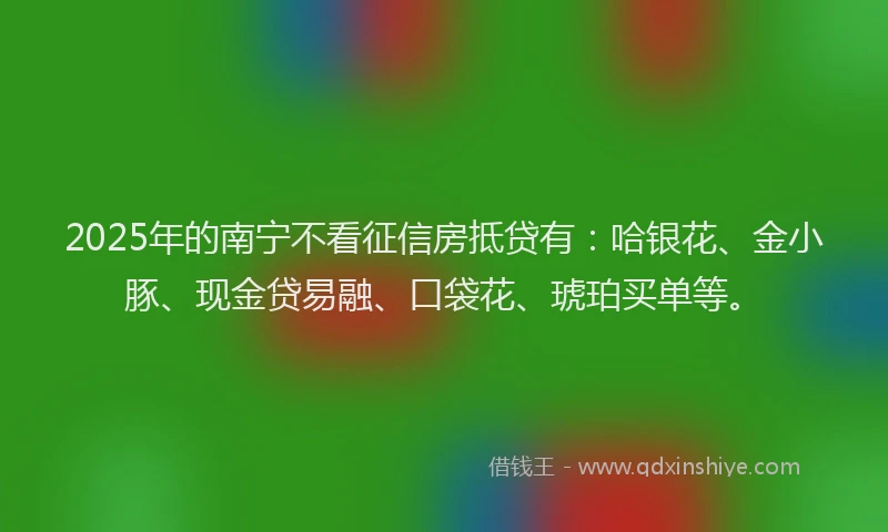 2025年的南宁不看征信房抵贷有：哈银花、金小豚、现金贷易融、口袋花、琥珀买单等。