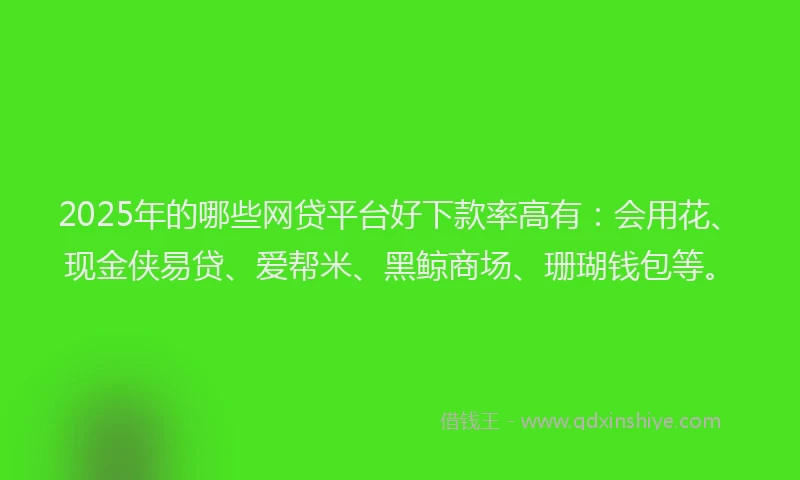 2025年的哪些网贷平台好下款率高有：会用花、现金侠易贷、爱帮米、黑鲸商场、珊瑚钱包等。