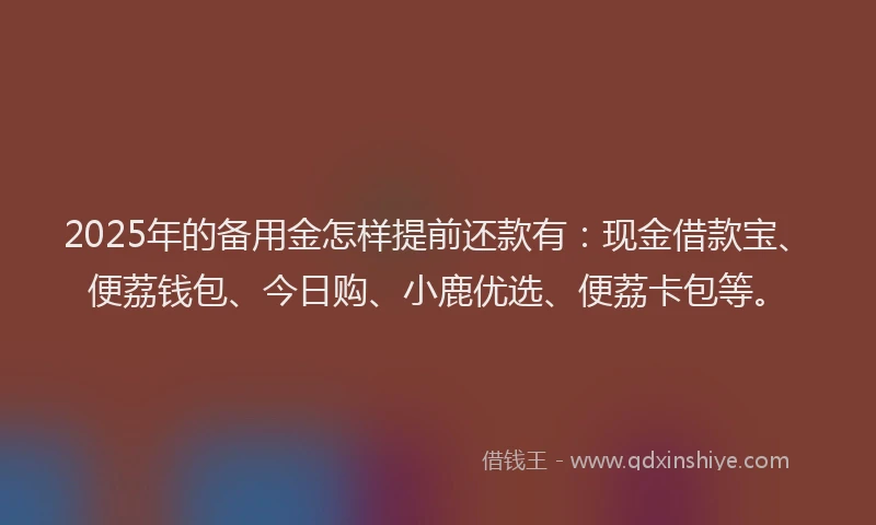 2025年的备用金怎样提前还款有：现金借款宝、便荔钱包、今日购、小鹿优选、便荔卡包等。
