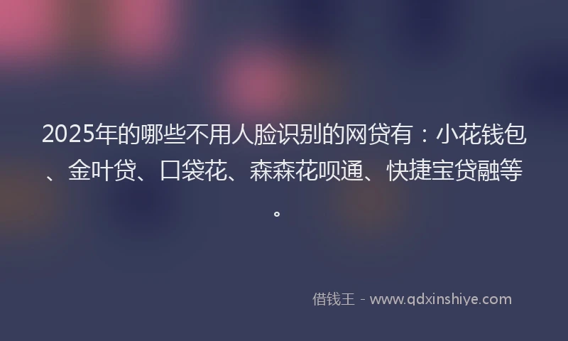2025年的哪些不用人脸识别的网贷有：小花钱包、金叶贷、口袋花、森森花呗通、快捷宝贷融等。