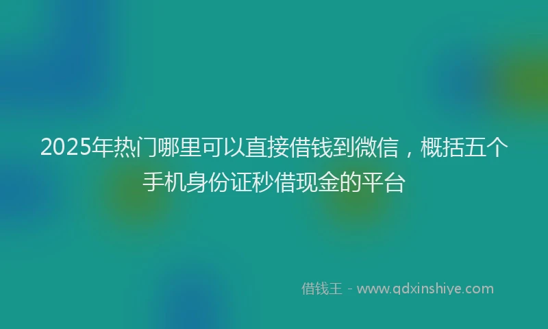 2025年热门哪里可以直接借钱到微信，概括五个手机身份证秒借现金的平台