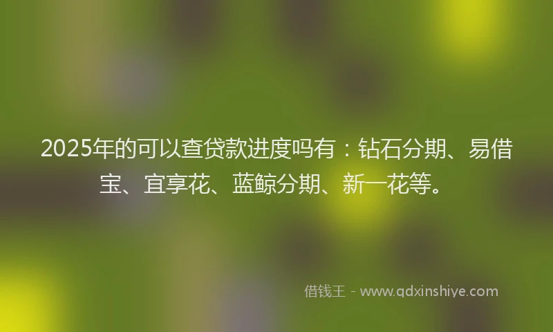 2025年的可以查贷款进度吗有：钻石分期、易借宝、宜享花、蓝鲸分期、新一花等。
