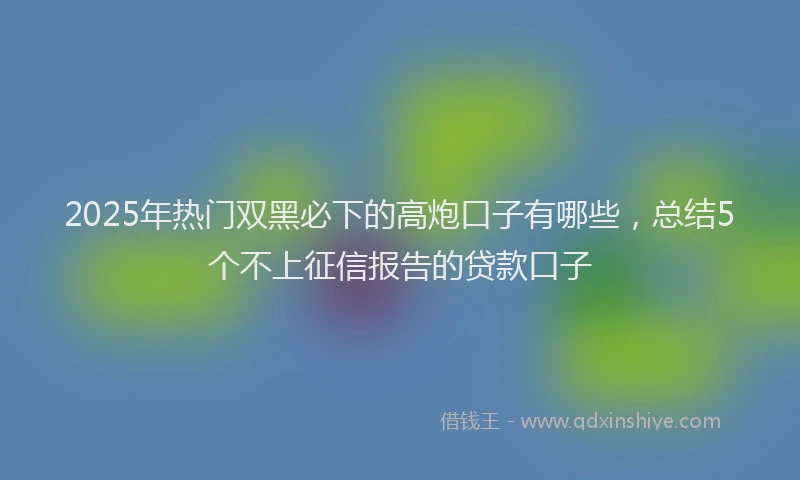 2025年热门双黑必下的高炮口子有哪些，总结5个不上征信报告的贷款口子