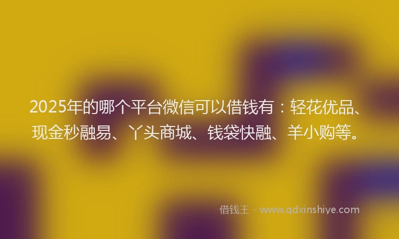 2025年的哪个平台微信可以借钱有：轻花优品、现金秒融易、丫头商城、钱袋快融、羊小购等。