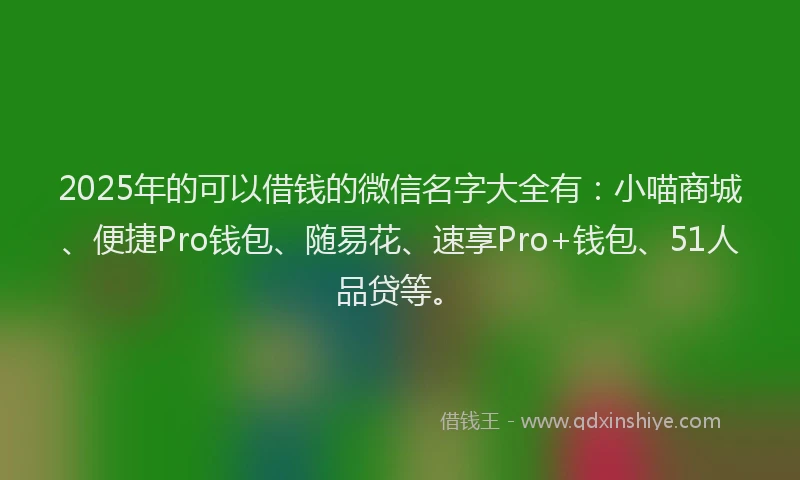 2025年的可以借钱的微信名字大全有：小喵商城、便捷Pro钱包、随易花、速享Pro+钱包、51人品贷等。