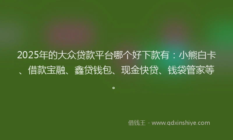 2025年的大众贷款平台哪个好下款有：小熊白卡、借款宝融、鑫贷钱包、现金快贷、钱袋管家等。