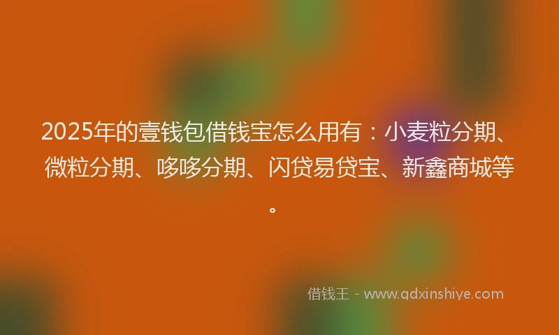 2025年的壹钱包借钱宝怎么用有：小麦粒分期、微粒分期、哆哆分期、闪贷易贷宝、新鑫商城等。