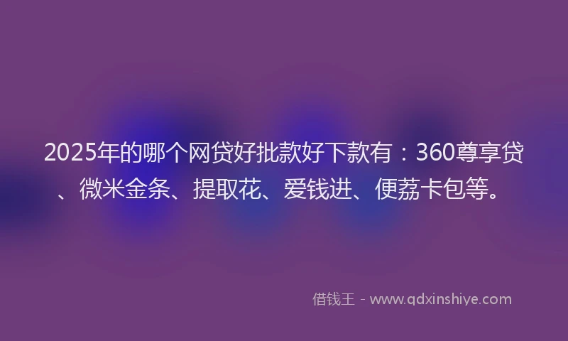 2025年的哪个网贷好批款好下款有：360尊享贷、微米金条、提取花、爱钱进、便荔卡包等。