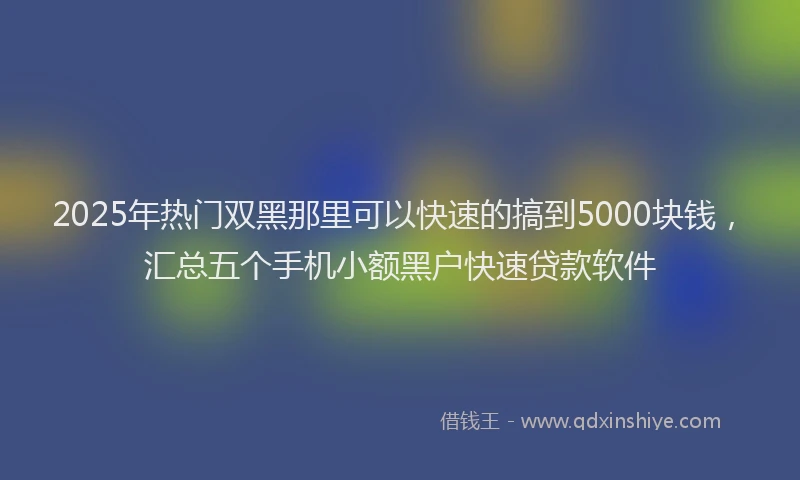 2025年热门双黑那里可以快速的搞到5000块钱，汇总五个手机小额黑户快速贷款软件