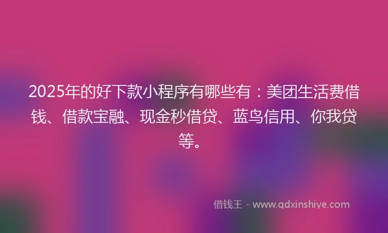 2025年的好下款小程序有哪些有：美团生活费借钱、借款宝融、现金秒借贷、蓝鸟信用、你我贷等。