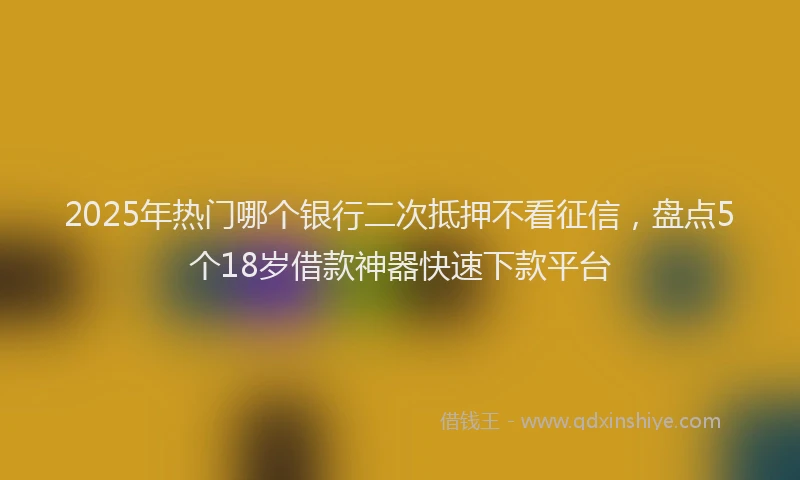 2025年热门哪个银行二次抵押不看征信，盘点5个18岁借款神器快速下款平台
