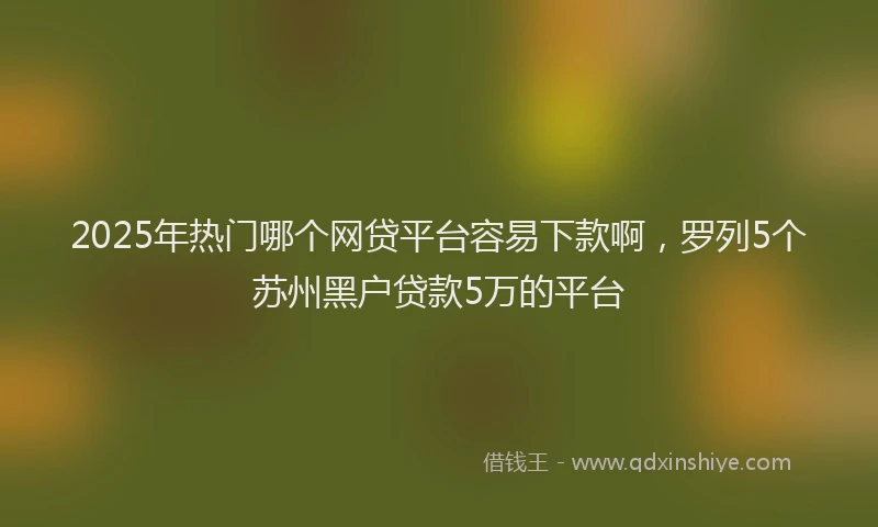 2025年热门哪个网贷平台容易下款啊，罗列5个苏州黑户贷款5万的平台