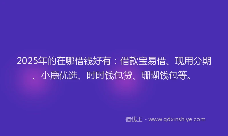2025年的在哪借钱好有：借款宝易借、现用分期、小鹿优选、时时钱包贷、珊瑚钱包等。
