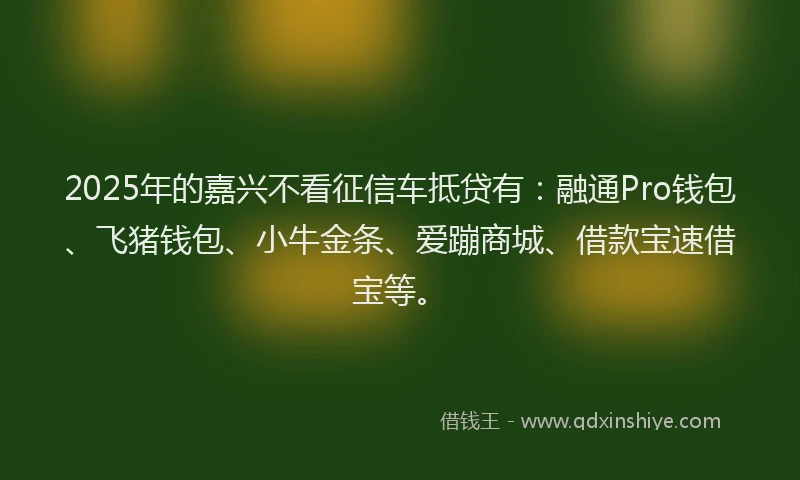 2025年的嘉兴不看征信车抵贷有：融通Pro钱包、飞猪钱包、小牛金条、爱蹦商城、借款宝速借宝等。