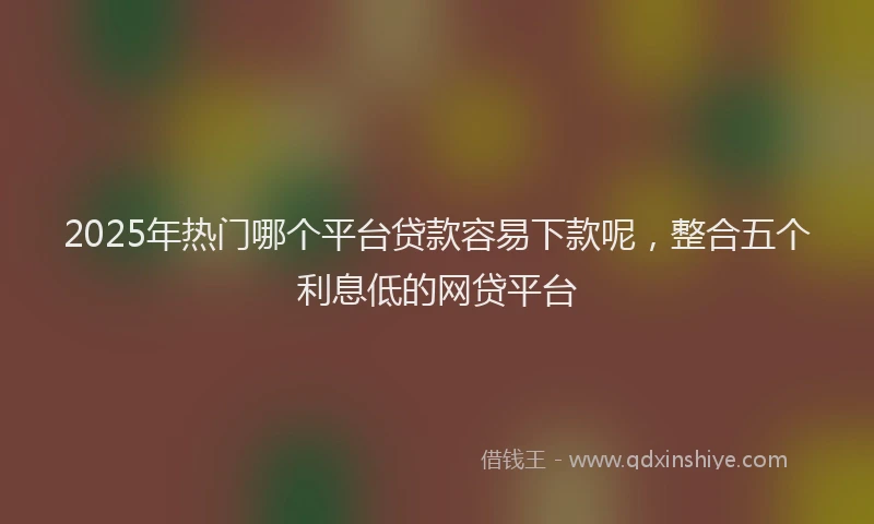 2025年热门哪个平台贷款容易下款呢，整合五个利息低的网贷平台