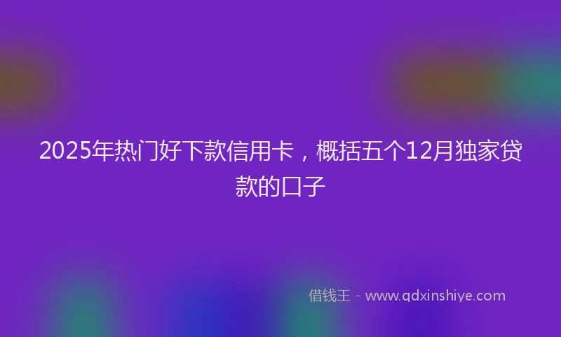 2025年热门好下款信用卡，概括五个12月独家贷款的口子