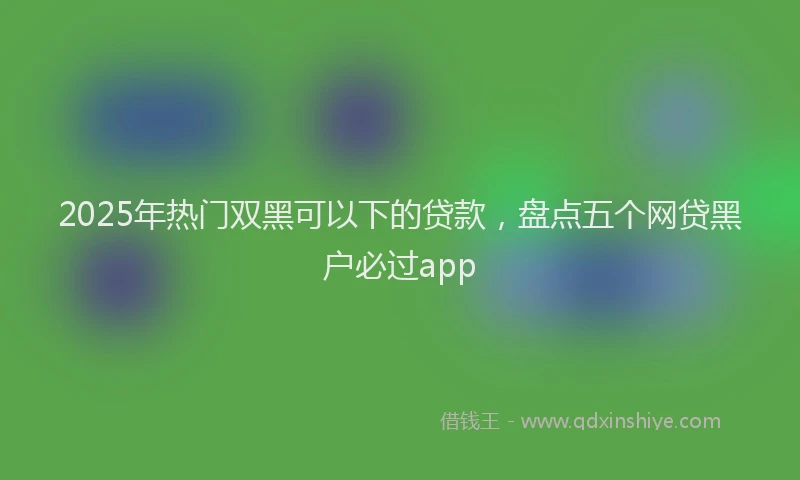 2025年热门双黑可以下的贷款，盘点五个网贷黑户必过app
