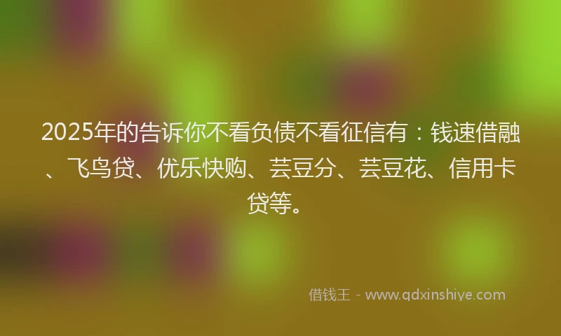 2025年的告诉你不看负债不看征信有：钱速借融、飞鸟贷、优乐快购、芸豆分、芸豆花、信用卡贷等。
