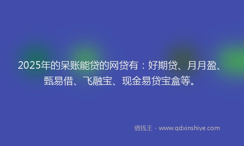 2025年的呆账能贷的网贷有：好期贷、月月盈、甄易借、飞融宝、现金易贷宝盒等。