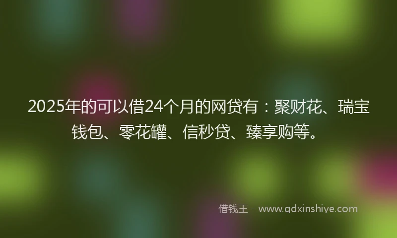 2025年的可以借24个月的网贷有：聚财花、瑞宝钱包、零花罐、信秒贷、臻享购等。