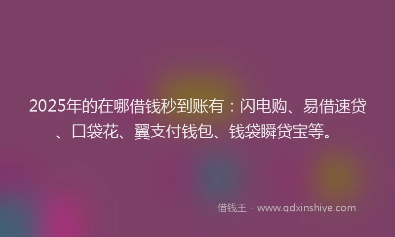 2025年的在哪借钱秒到账有：闪电购、易借速贷、口袋花、翼支付钱包、钱袋瞬贷宝等。