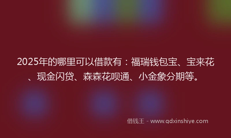 2025年的哪里可以借款有：福瑞钱包宝、宝来花、现金闪贷、森森花呗通、小金象分期等。