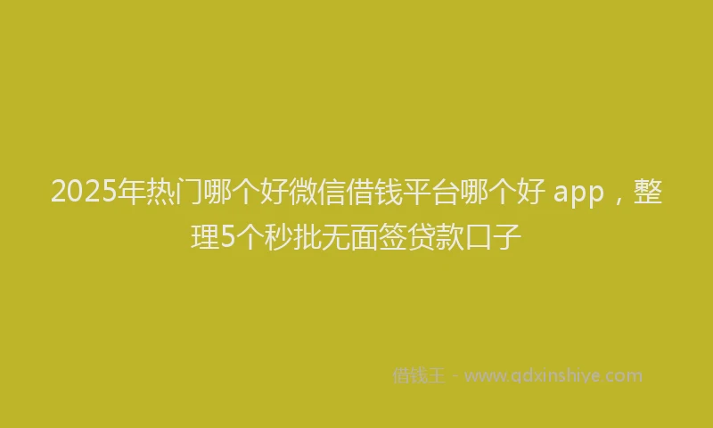 2025年热门哪个好微信借钱平台哪个好 app，整理5个秒批无面签贷款口子