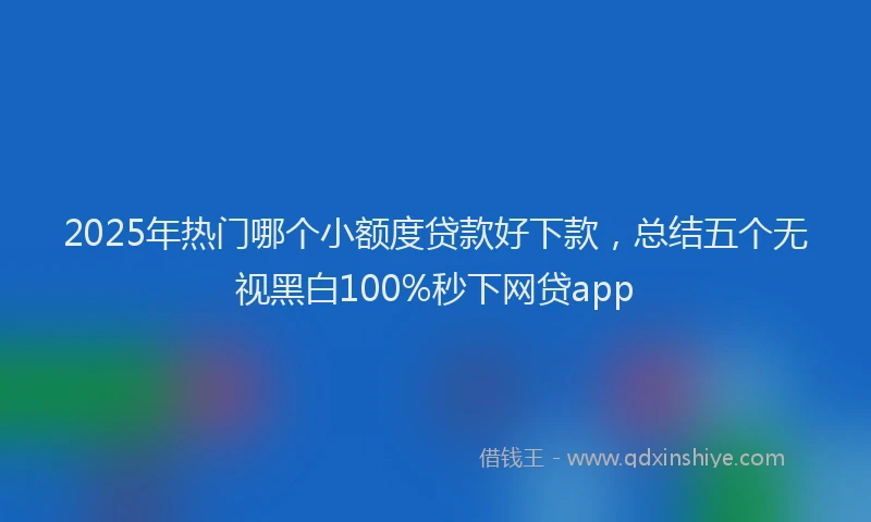 2025年热门哪个小额度贷款好下款，总结五个无视黑白100%秒下网贷app