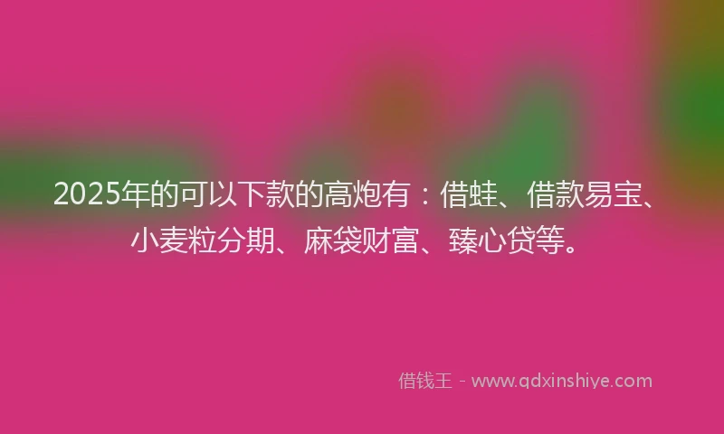 2025年的可以下款的高炮有：借蛙、借款易宝、小麦粒分期、麻袋财富、臻心贷等。