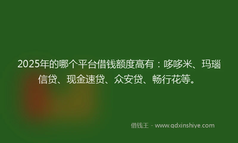 2025年的哪个平台借钱额度高有：哆哆米、玛瑙信贷、现金速贷、众安贷、畅行花等。