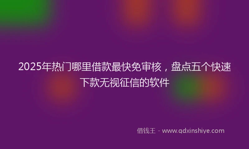 2025年热门哪里借款最快免审核，盘点五个快速下款无视征信的软件