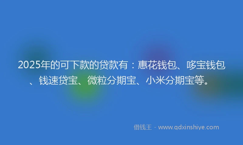 2025年的可下款的贷款有：惠花钱包、哆宝钱包、钱速贷宝、微粒分期宝、小米分期宝等。