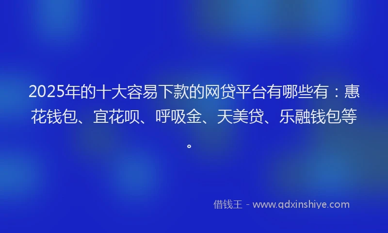 2025年的十大容易下款的网贷平台有哪些有：惠花钱包、宜花呗、呼吸金、天美贷、乐融钱包等。