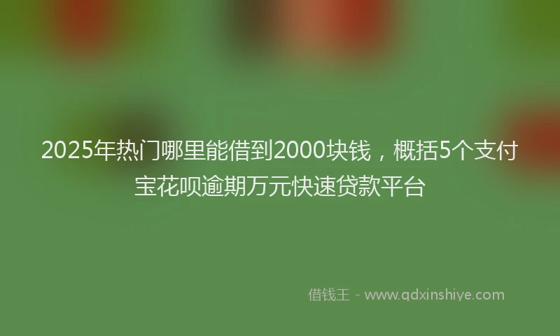 2025年热门哪里能借到2000块钱，概括5个支付宝花呗逾期万元快速贷款平台
