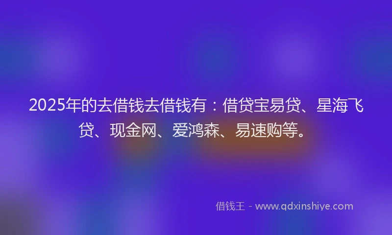 2025年的去借钱去借钱有：借贷宝易贷、星海飞贷、现金网、爱鸿森、易速购等。