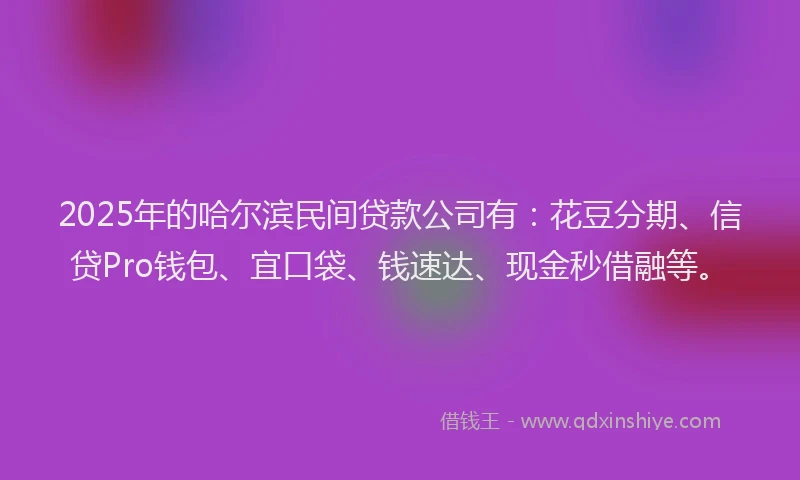 2025年的哈尔滨民间贷款公司有：花豆分期、信贷Pro钱包、宜口袋、钱速达、现金秒借融等。
